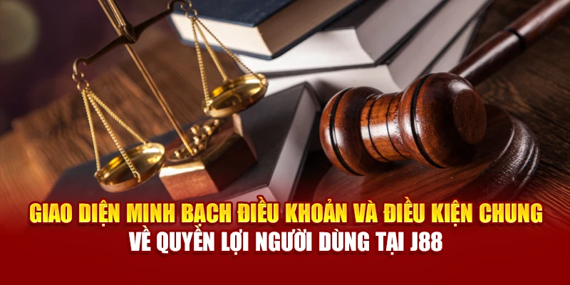 Giao diện minh bạch điều khoản và điều kiện